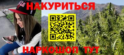 шишки Усть-Илимск