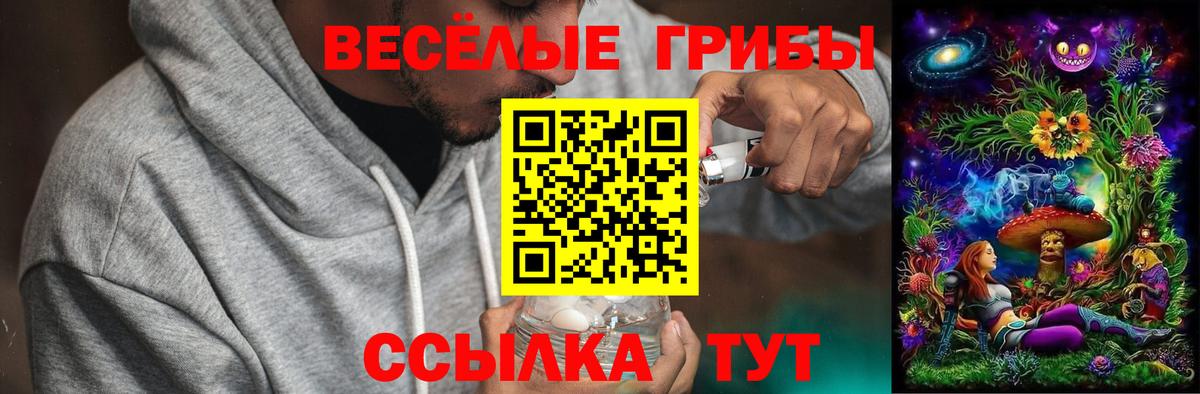 Галлюциногенные грибы Cubensis Нижнеудинск